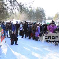 ledi-trial-2013-104