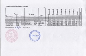 Официальная классификация в классе Д1