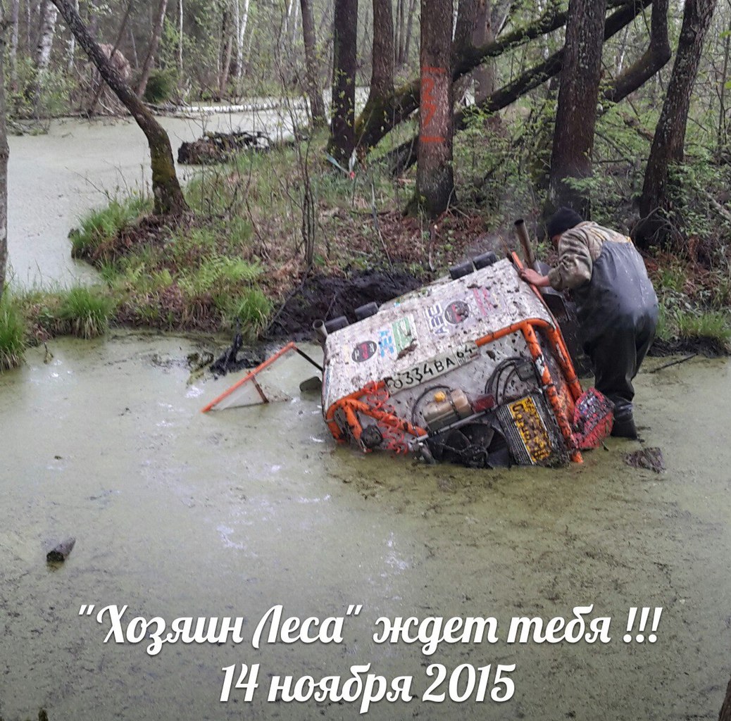 Хозяин-леса-2015
